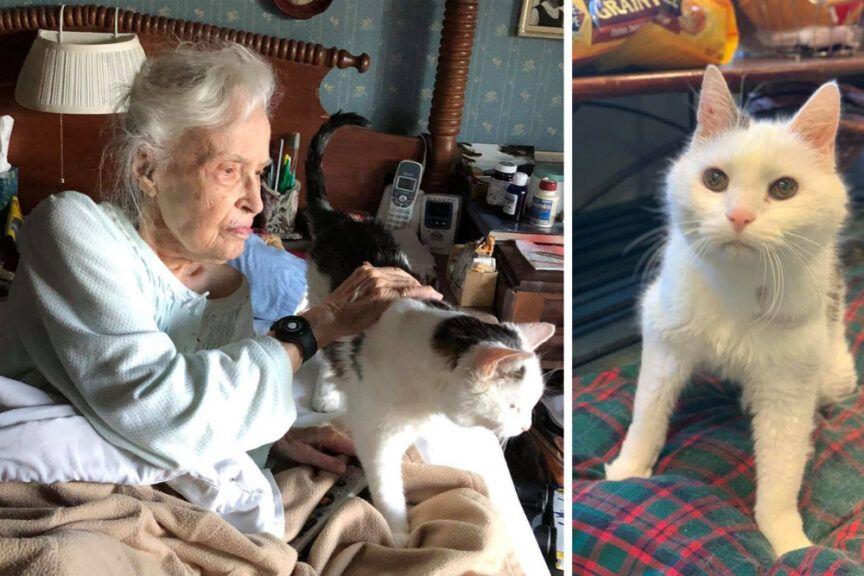 101-latka zaadoptowała najstarszego kota
