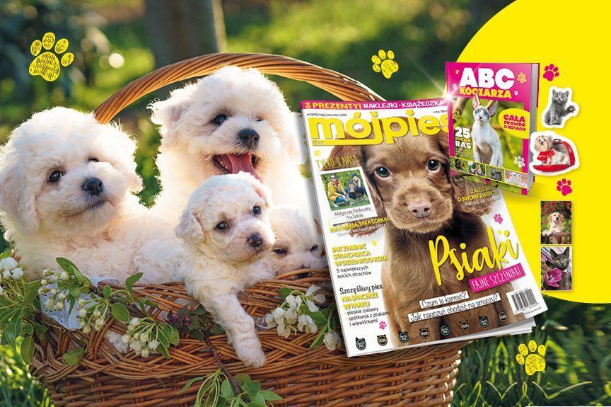 książeczka ABC kociarza i naklejki