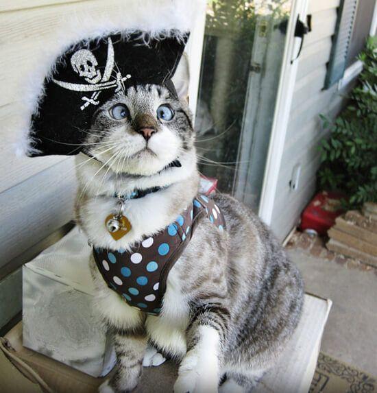 spangles