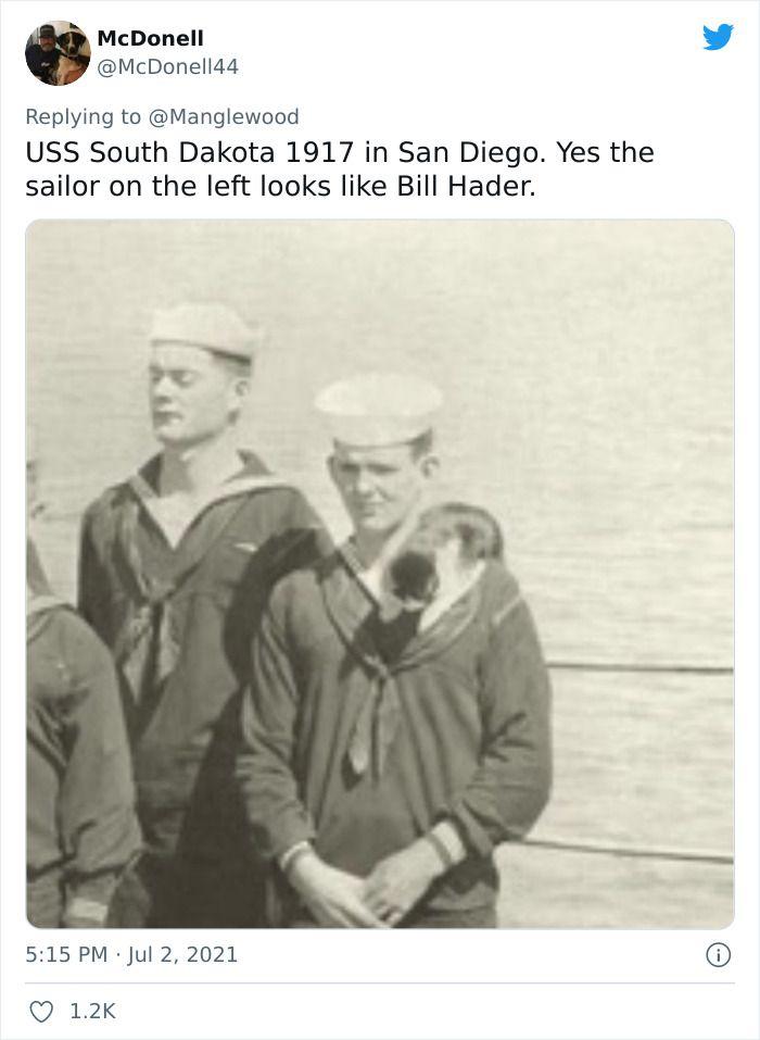 Twitter User Shared 14 Historical Photos Of Cats Chilling In Their Tiny Hammocks Aboard Naval Ships