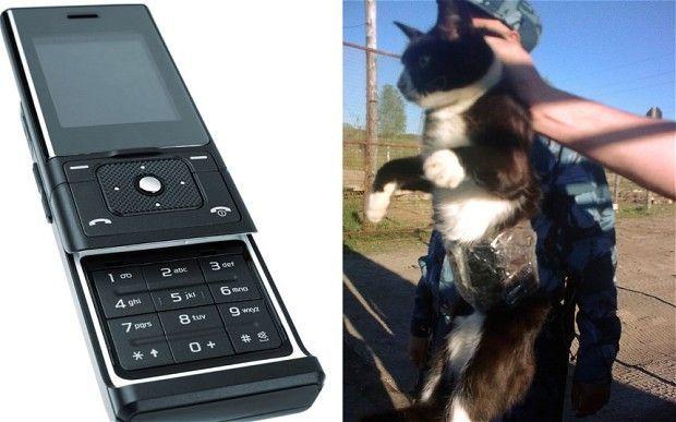 322384206_624533353.jpg