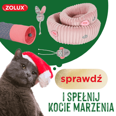 400x400_koty_prezenty.png