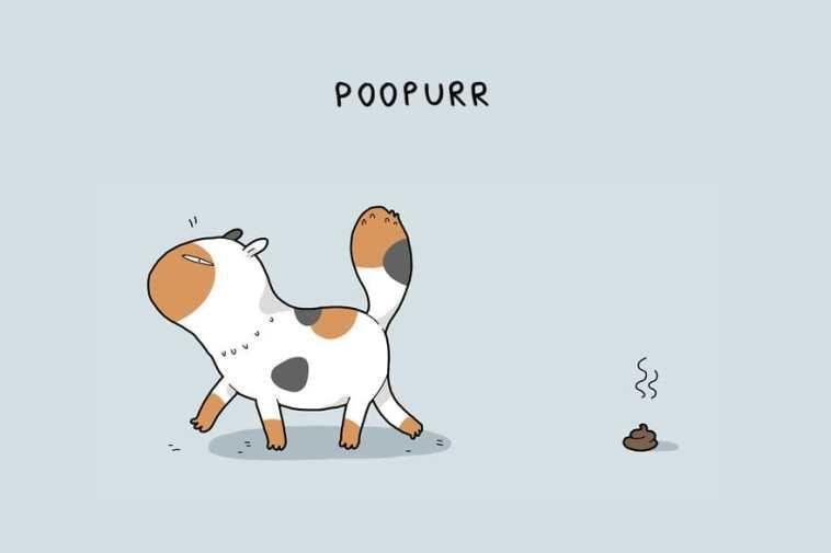 Poopurr vel Kupkacz