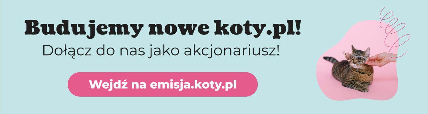 oczy i sierść kota emiteo