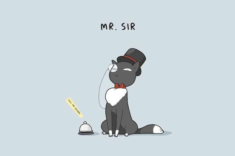 Mr. Sir vel Panisko