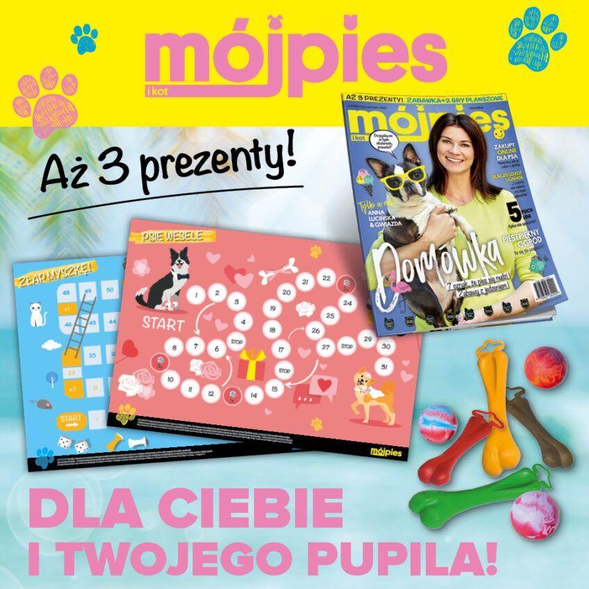 mój pies i kot