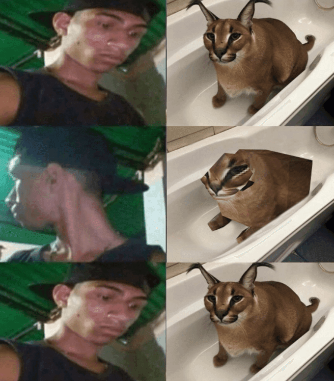 Photograph Vertebrate Jaw Felidae Cap Mammal Baseball cap Carnivore Fawn Small to medium-sized cats Art Headgear Hat T-shirt Whiskers Collage