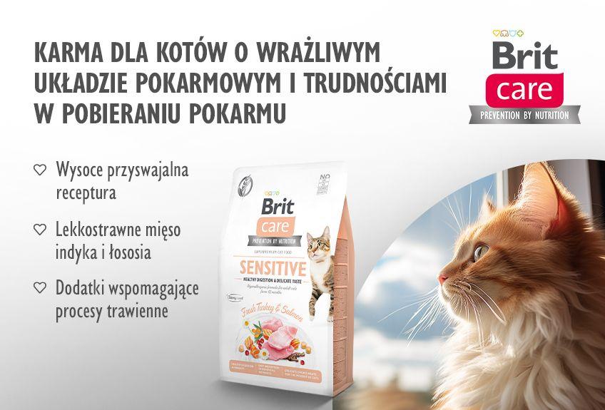 kot z wrażliwym żołądkiem