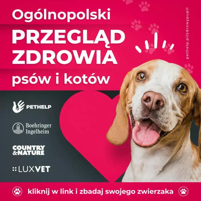 Przeglad-zdrowia-e1650892821710.webp