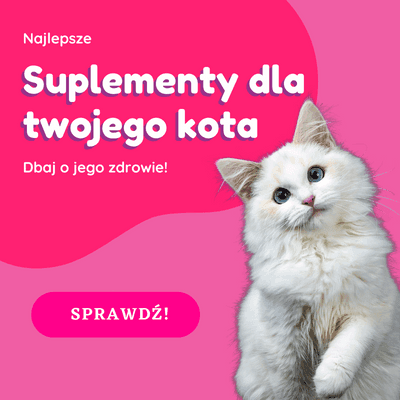 suplementy dla kota baner