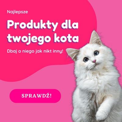 dbaj o kota jak nikt inny