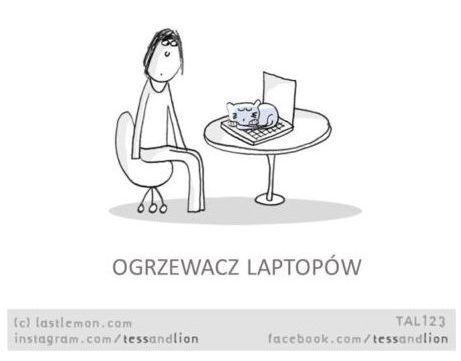 Rysunkowy kot leży a laptopie