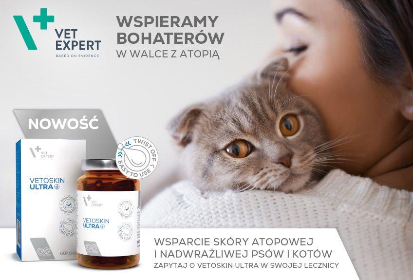 Drapieżnictwo Roślinożerność Co zrobić, gdy kot się drapie? Jak mu pomóc? | Koty.pl