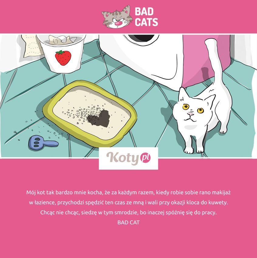 bad cats