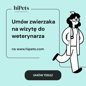 baner weterynarz