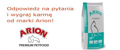 baner_arion.jpg