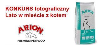 baner_arion_konkurs.jpg