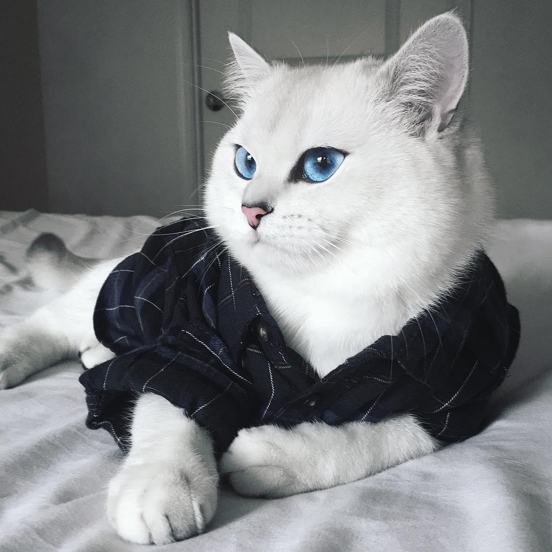 coby5.jpg