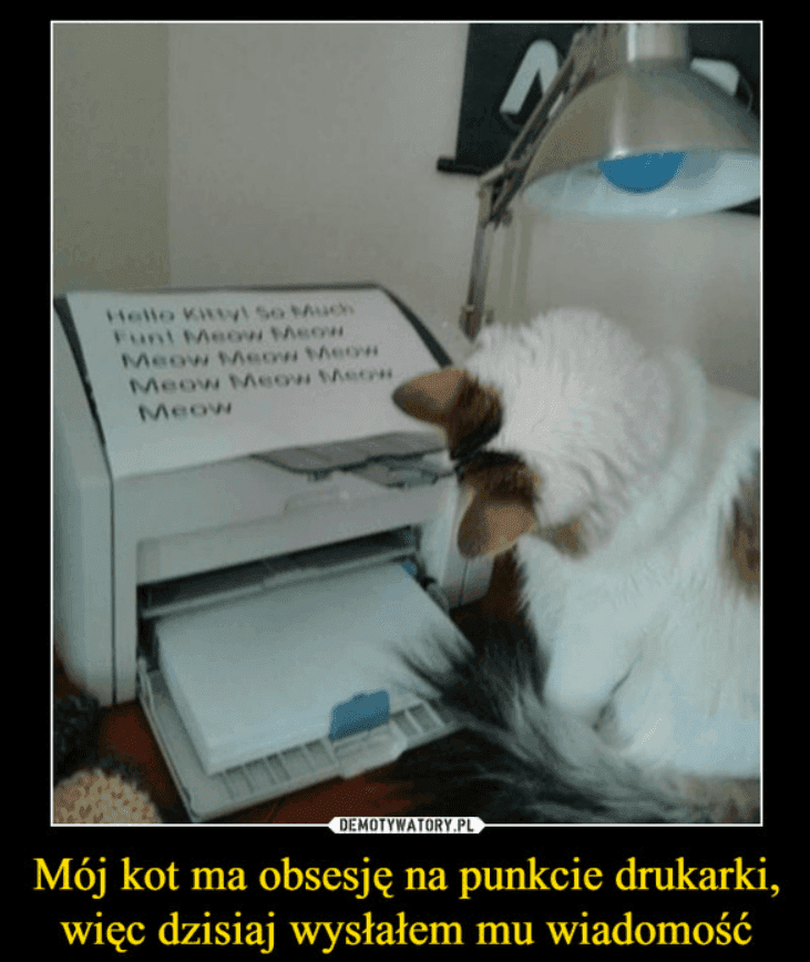 demotywatory kot i drukarka.png