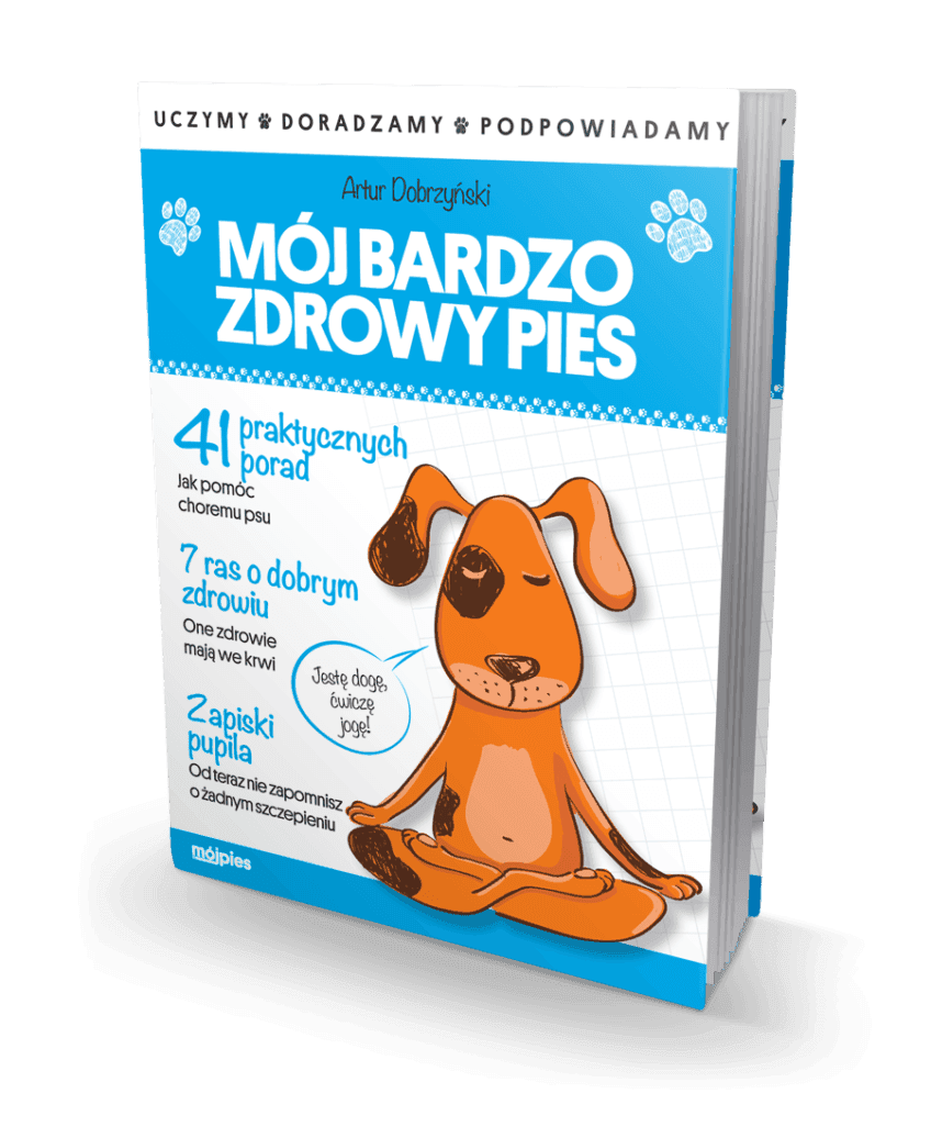 mój bardzo zdrowy pies