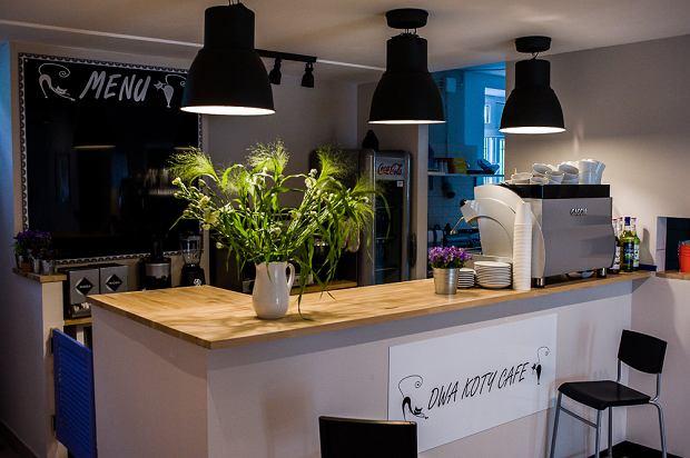dwa-koty-cafe.jpg