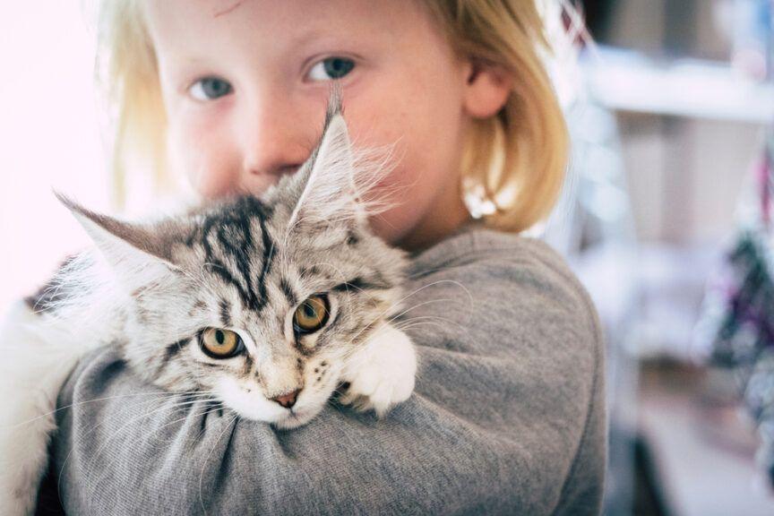 W Ciechanowie powstał Ośrodek Felinoterapii Ośrodek Felinoterapii „Radosny Kot”