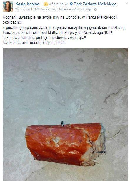 kiełbasa z gwoździami