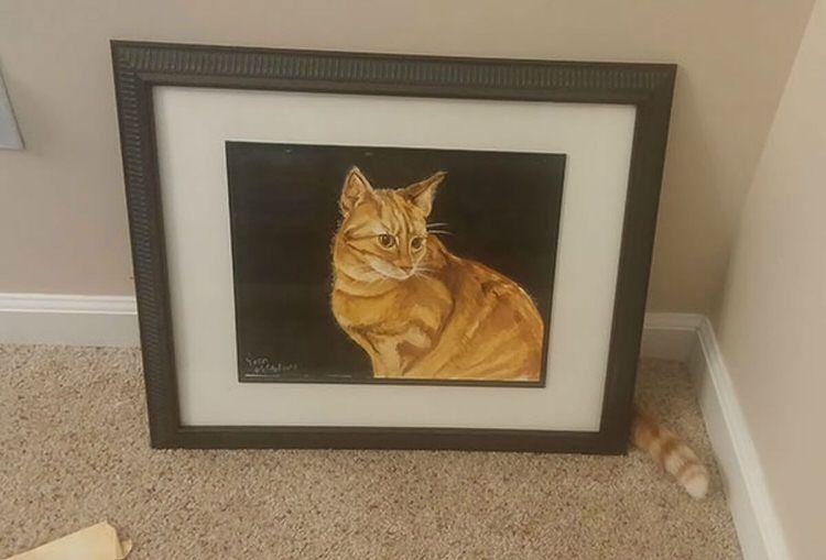 funny-camouflaged-cats-5.jpg