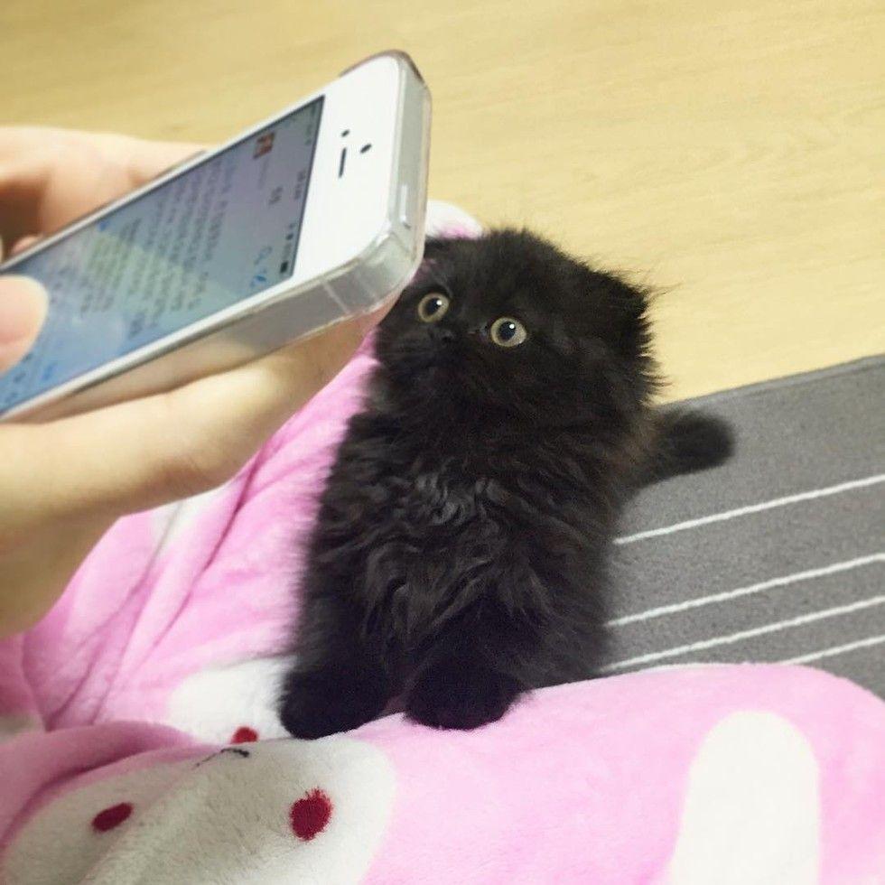gimo3.jpg