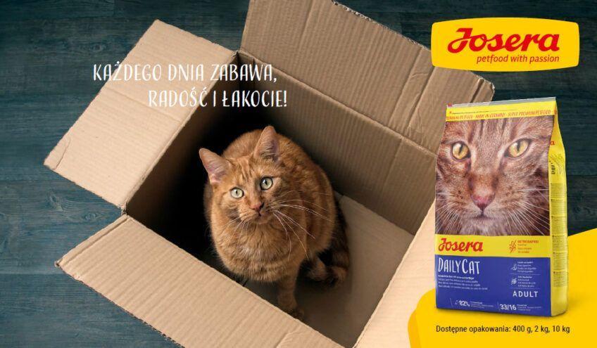 karmy bezzbożowe