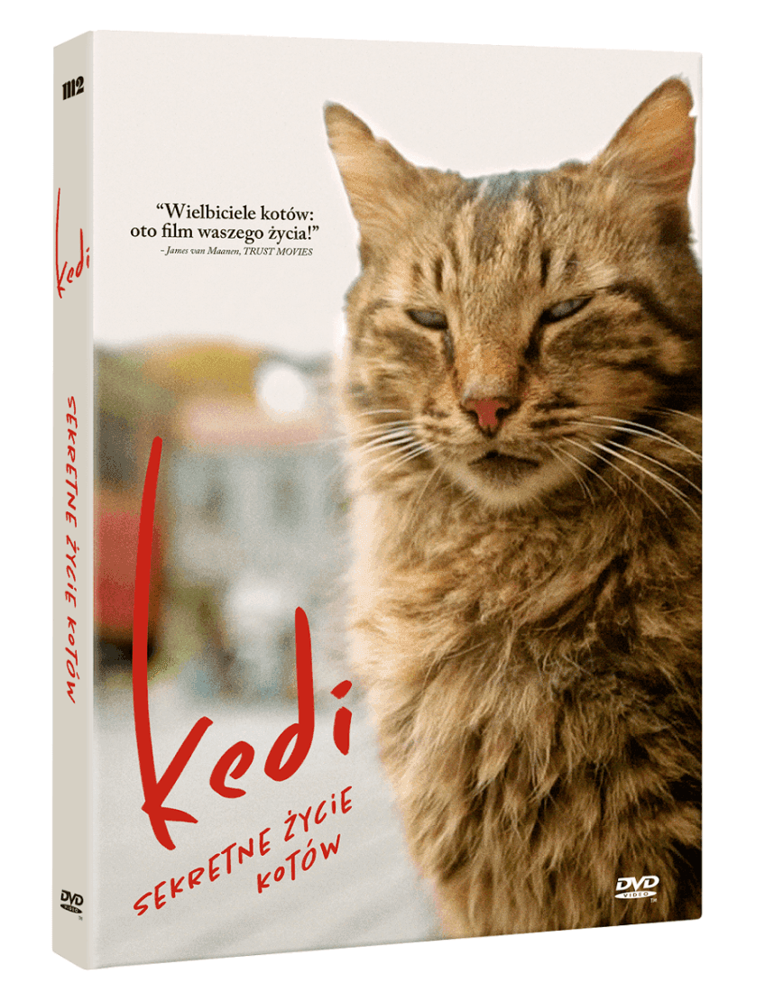 Kedi, okładka