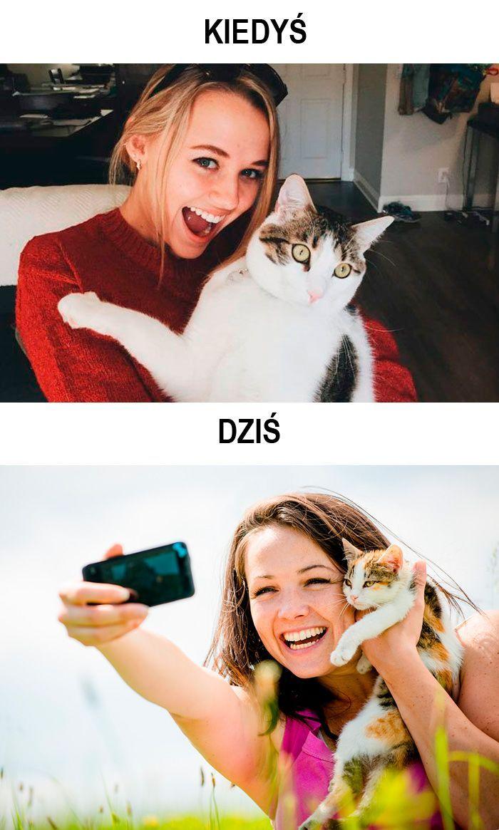 koty kiedyś i dziś