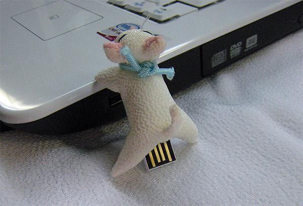 pamięć USB w kształcie kota