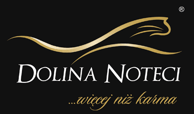 logo (1).png