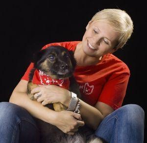 pies adopcja