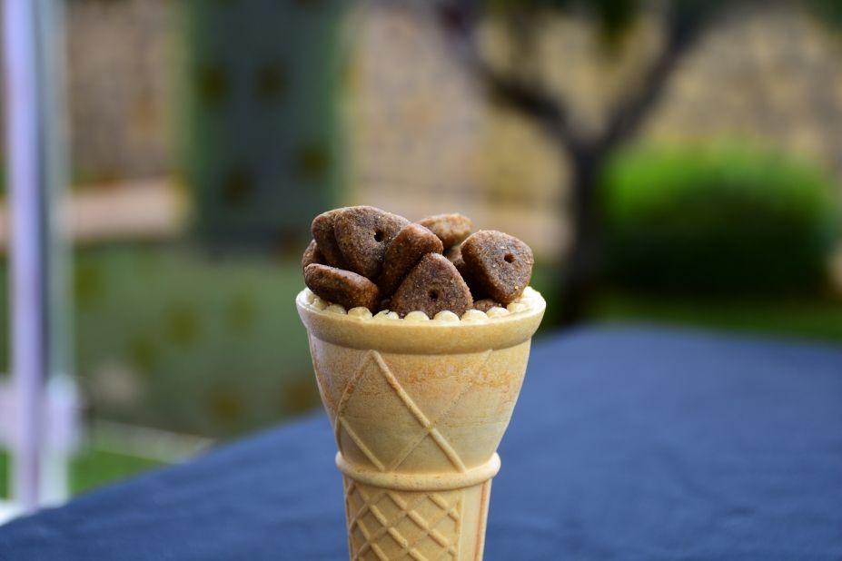 przepis na lody dla kota
