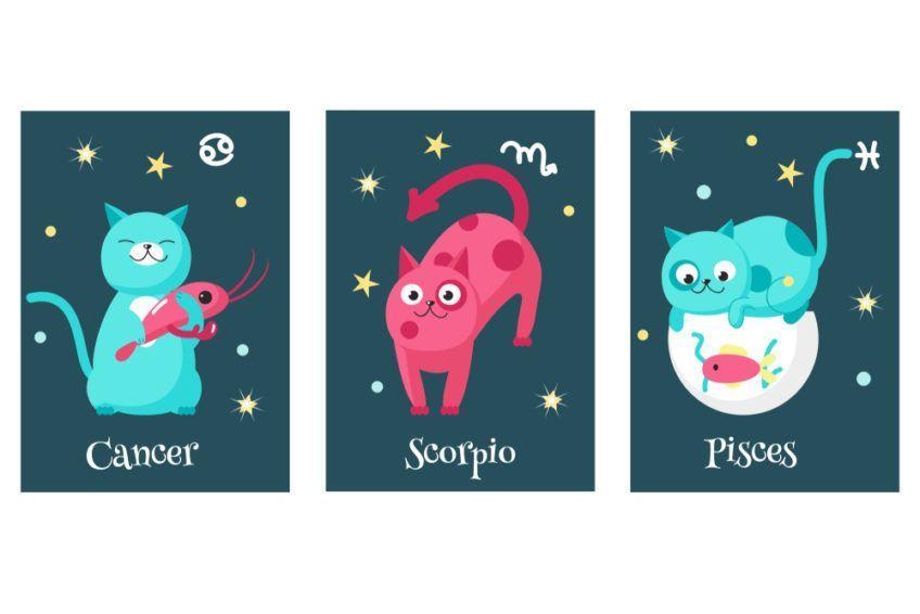 koci zodiak