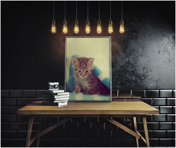redro plakat z kotem