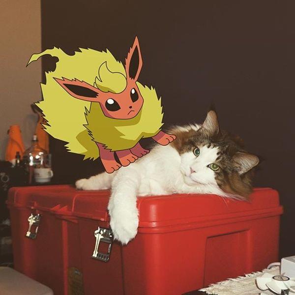 samson4.jpg