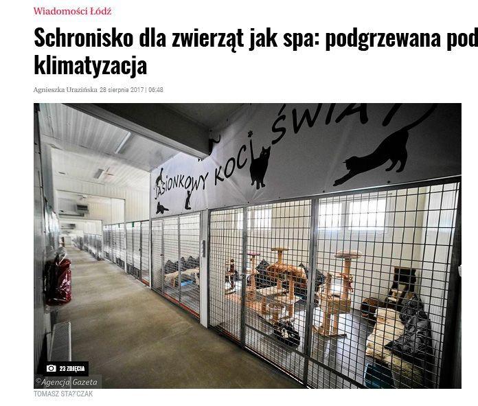 schronisko jasionka