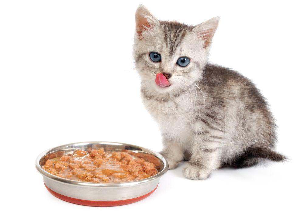 shutterstock_490238947.jpg