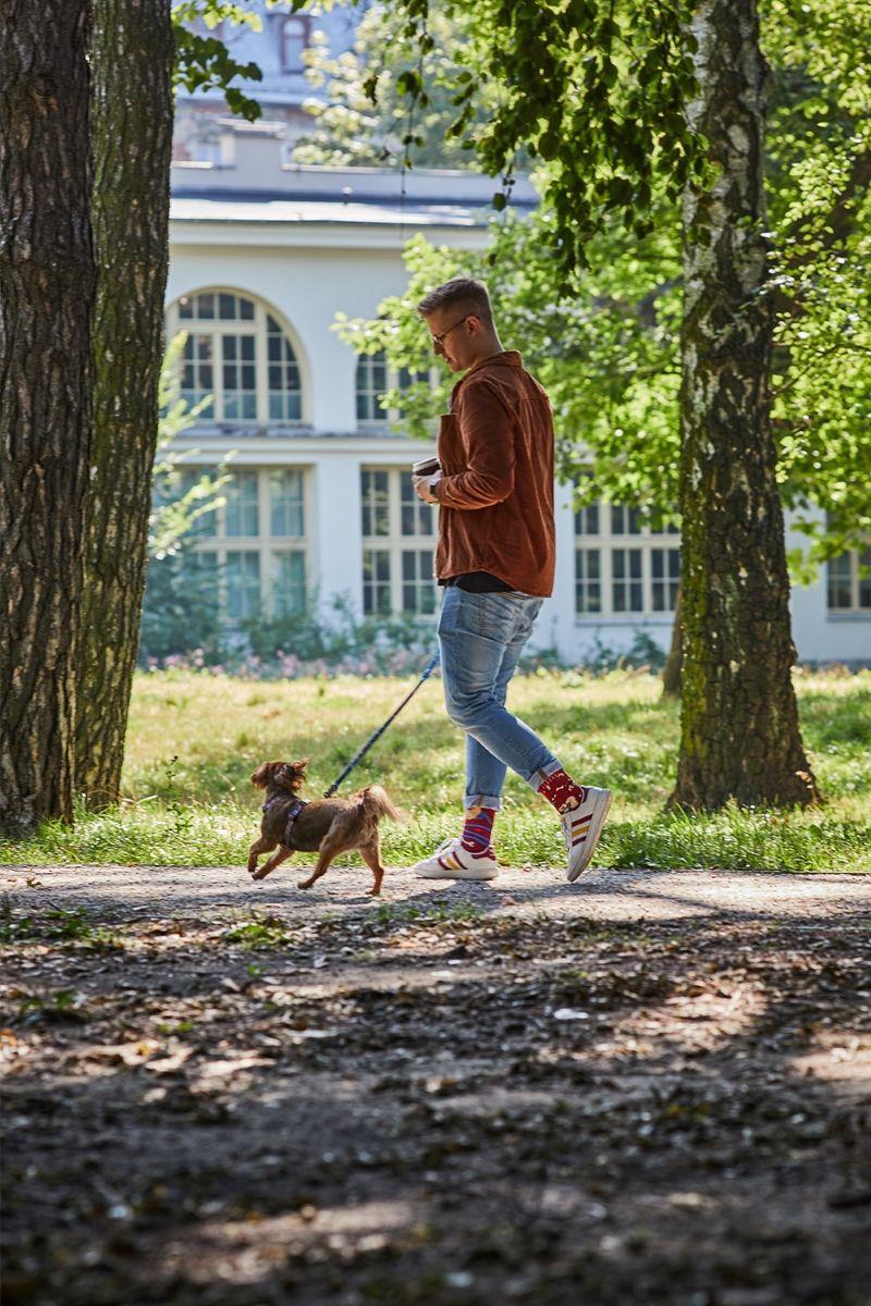 spacer z psem Many Walks.jpg