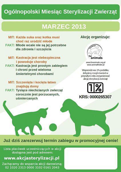sterylizacja2013.jpg