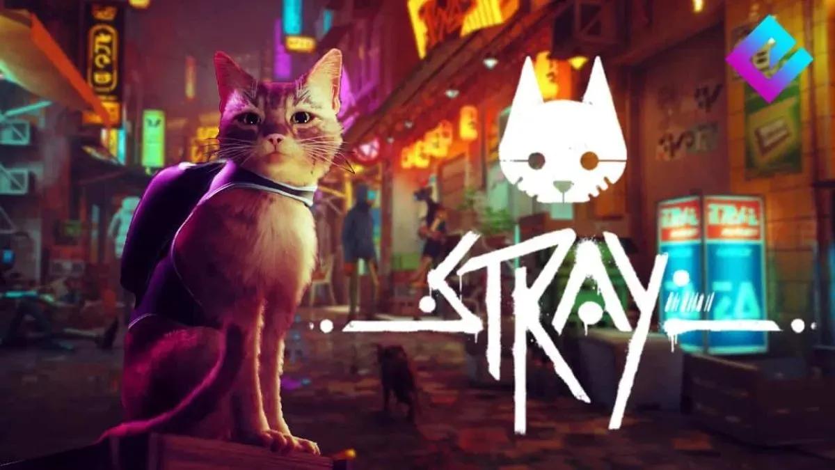 stray gra