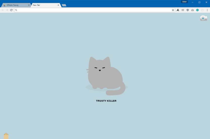 tabby cat