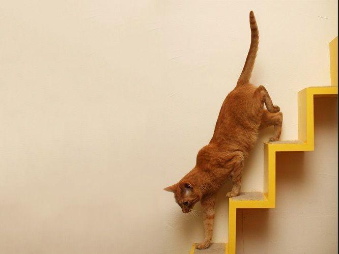 the-kittyloft02.jpg