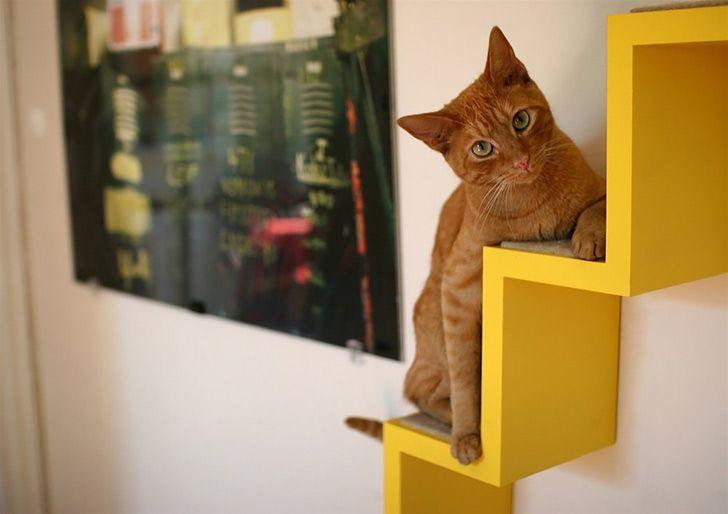 the-kittyloft04.jpg