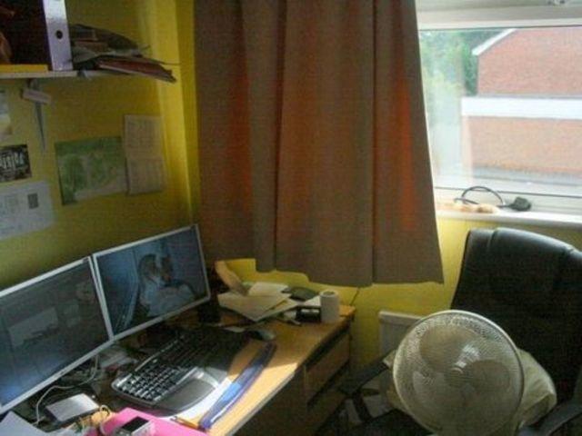 znajdz_kota5.jpg