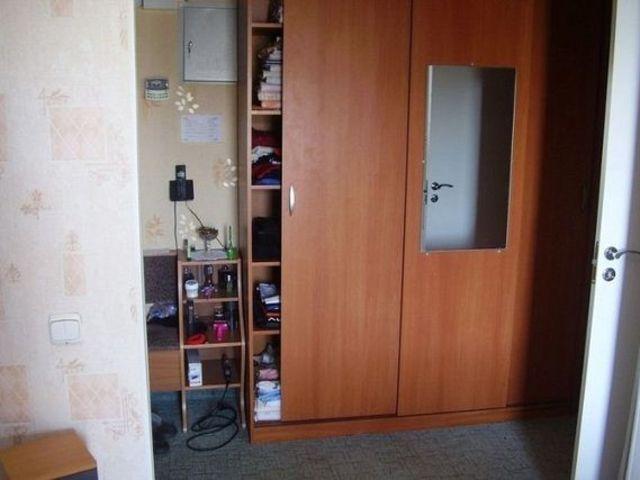 znajdz_kota7.jpg
