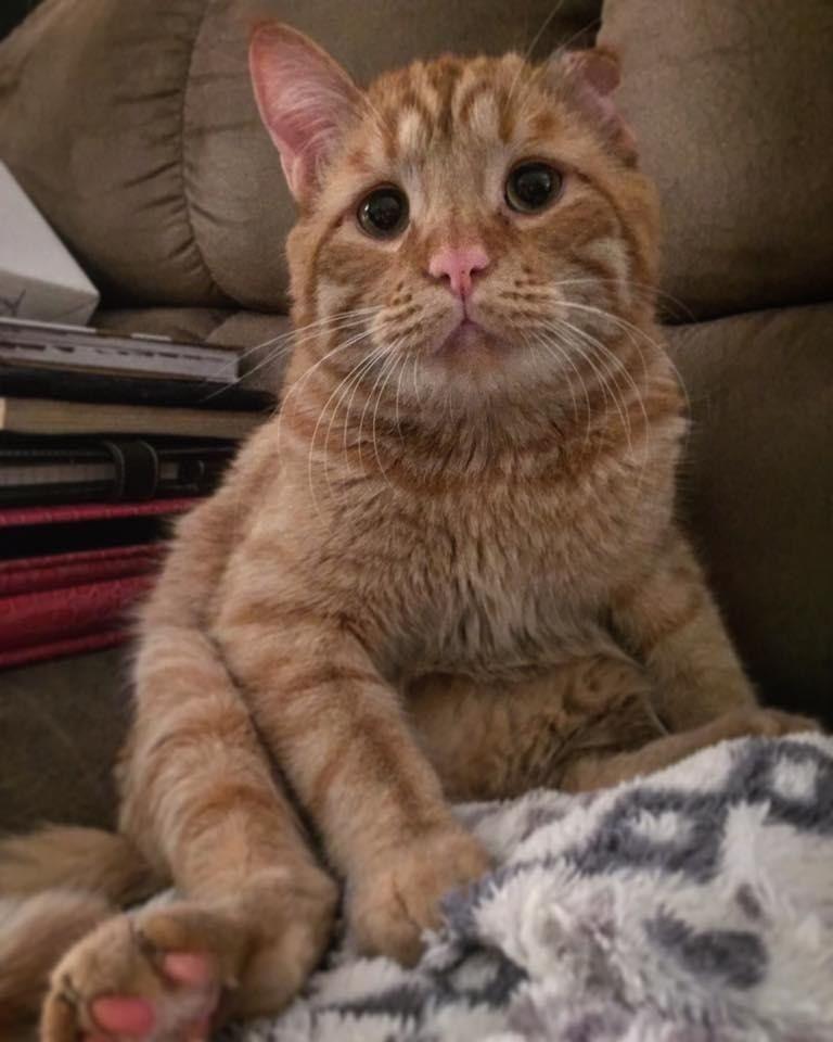 "